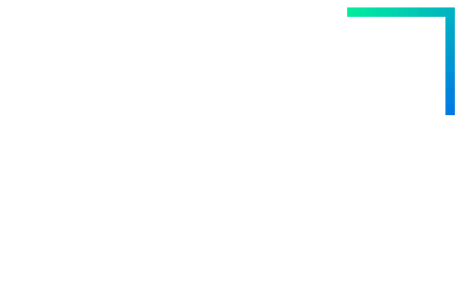 St. Gallen Endowment light logo